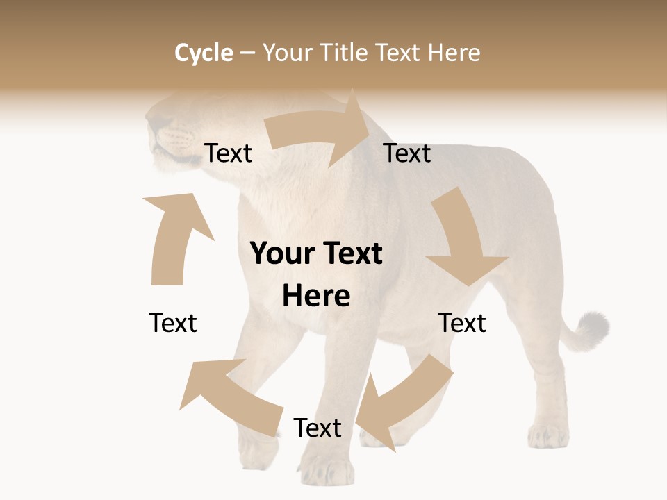 Furry Animal Large PowerPoint Template