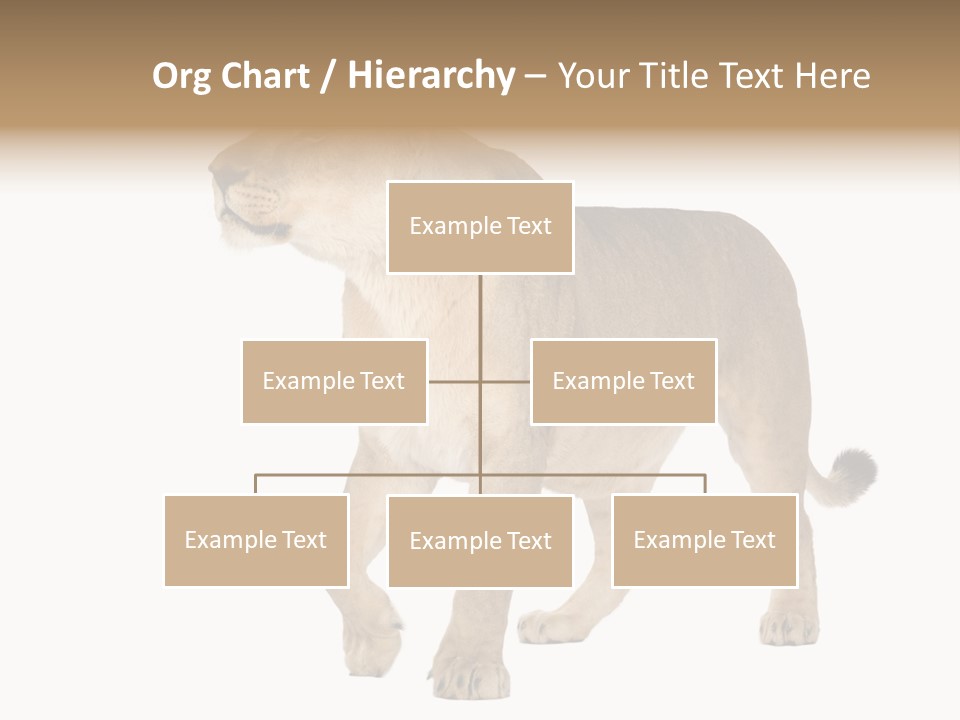 Furry Animal Large PowerPoint Template