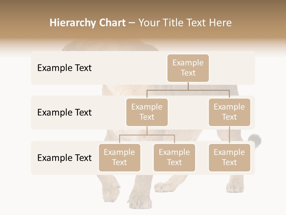 Furry Animal Large PowerPoint Template