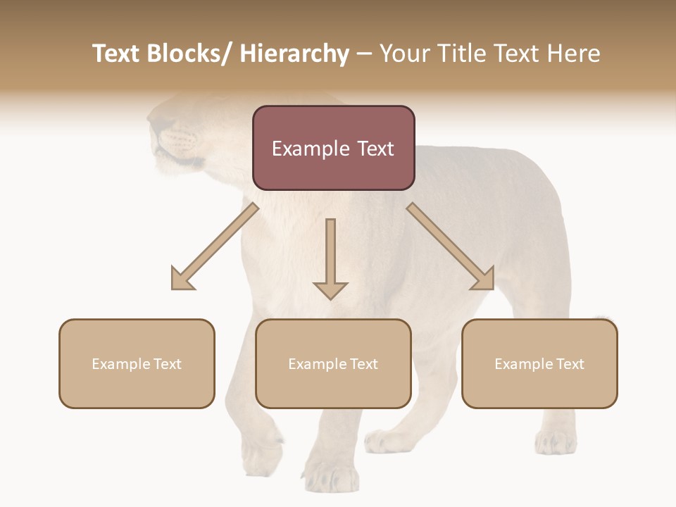 Furry Animal Large PowerPoint Template