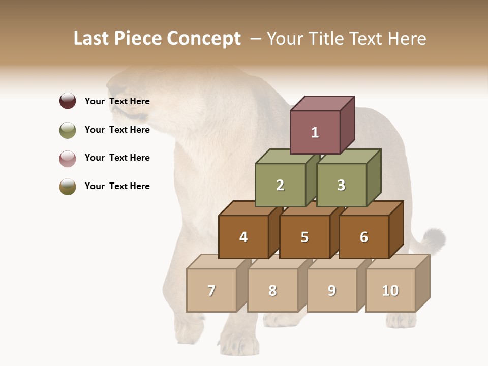 Furry Animal Large PowerPoint Template