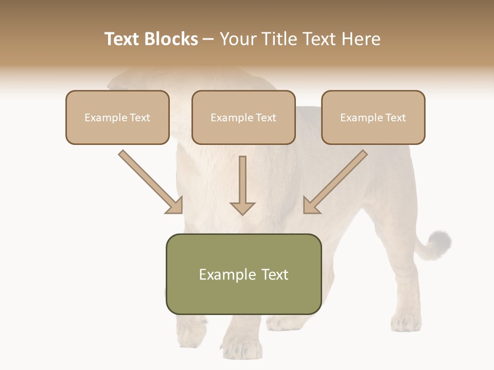 Furry Animal Large PowerPoint Template
