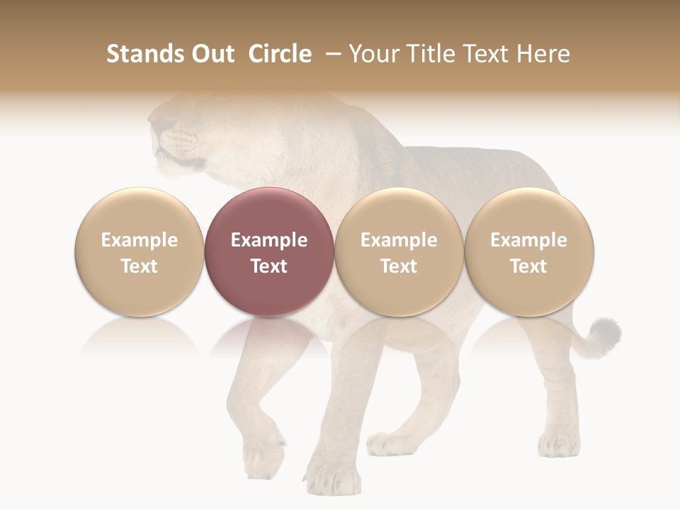 Furry Animal Large PowerPoint Template