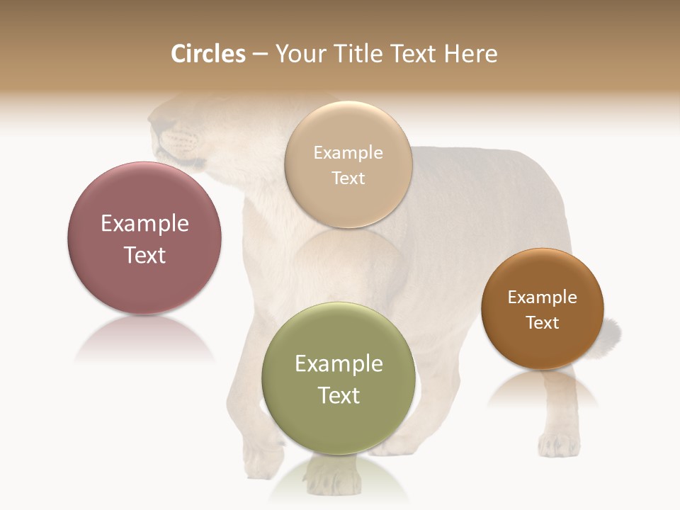 Furry Animal Large PowerPoint Template