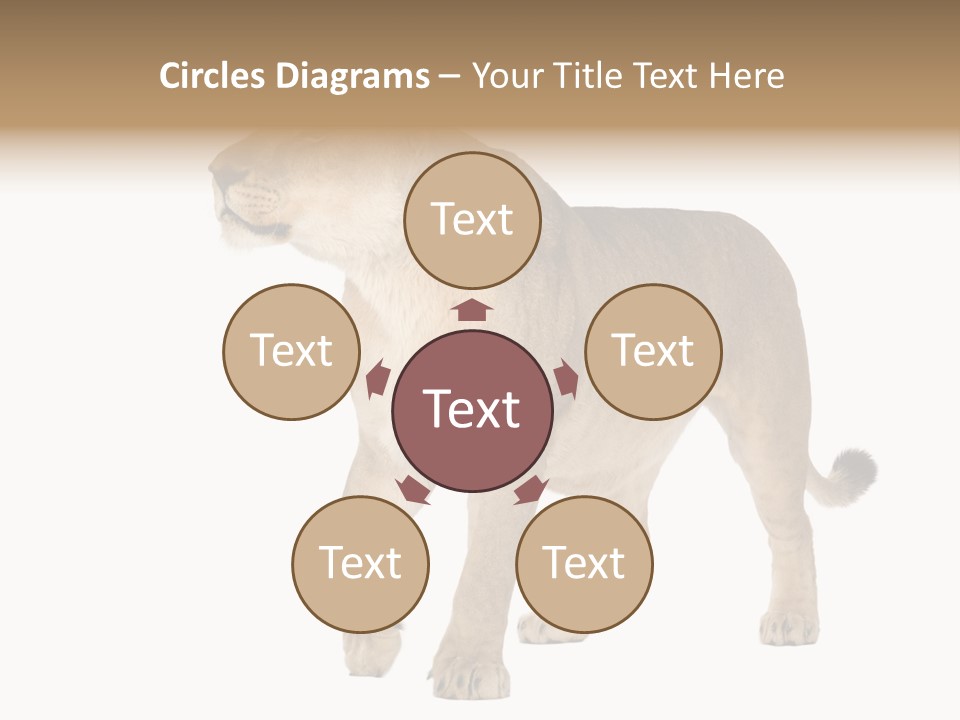 Furry Animal Large PowerPoint Template