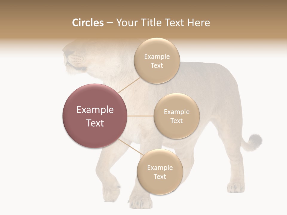 Furry Animal Large PowerPoint Template