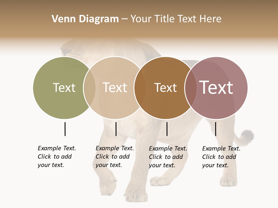 Furry Animal Large PowerPoint Template