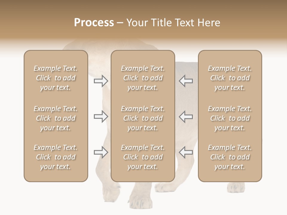 Furry Animal Large PowerPoint Template