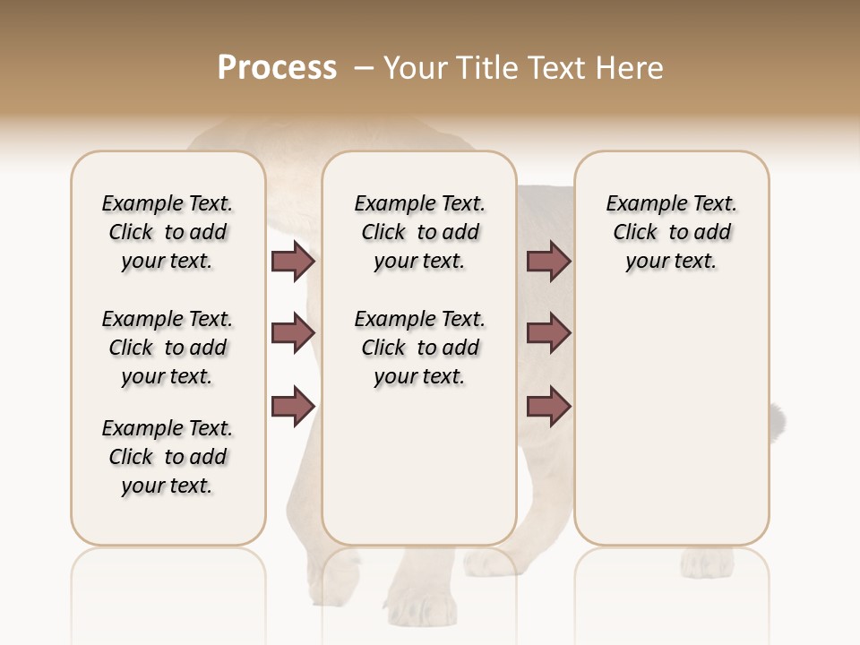 Furry Animal Large PowerPoint Template