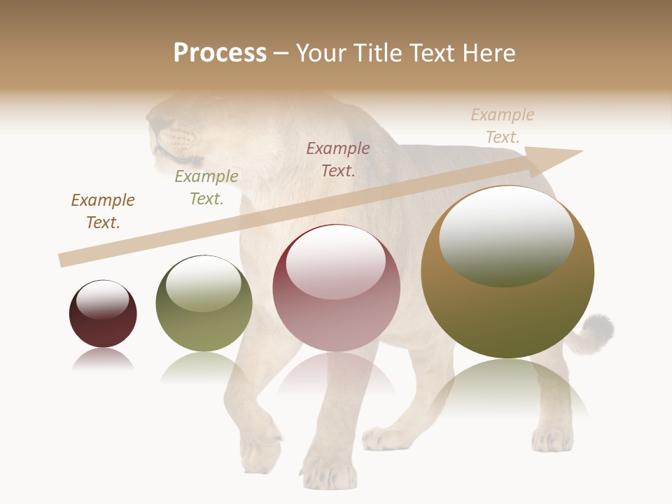 Furry Animal Large PowerPoint Template