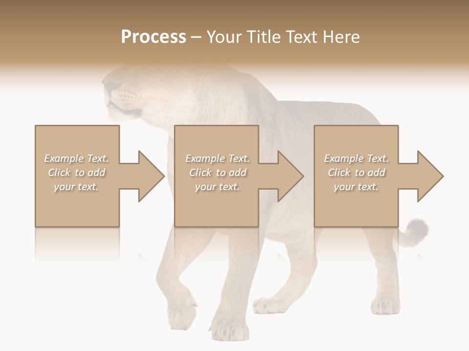 Furry Animal Large PowerPoint Template