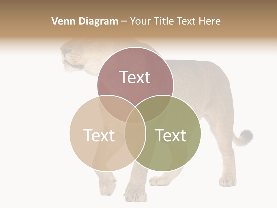 Furry Animal Large PowerPoint Template