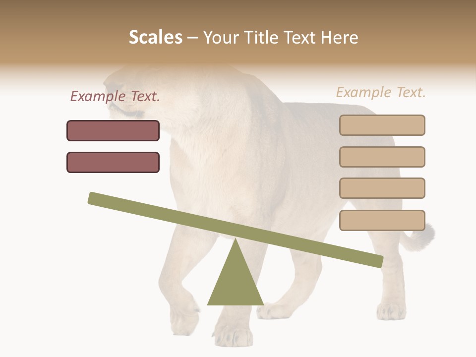 Furry Animal Large PowerPoint Template