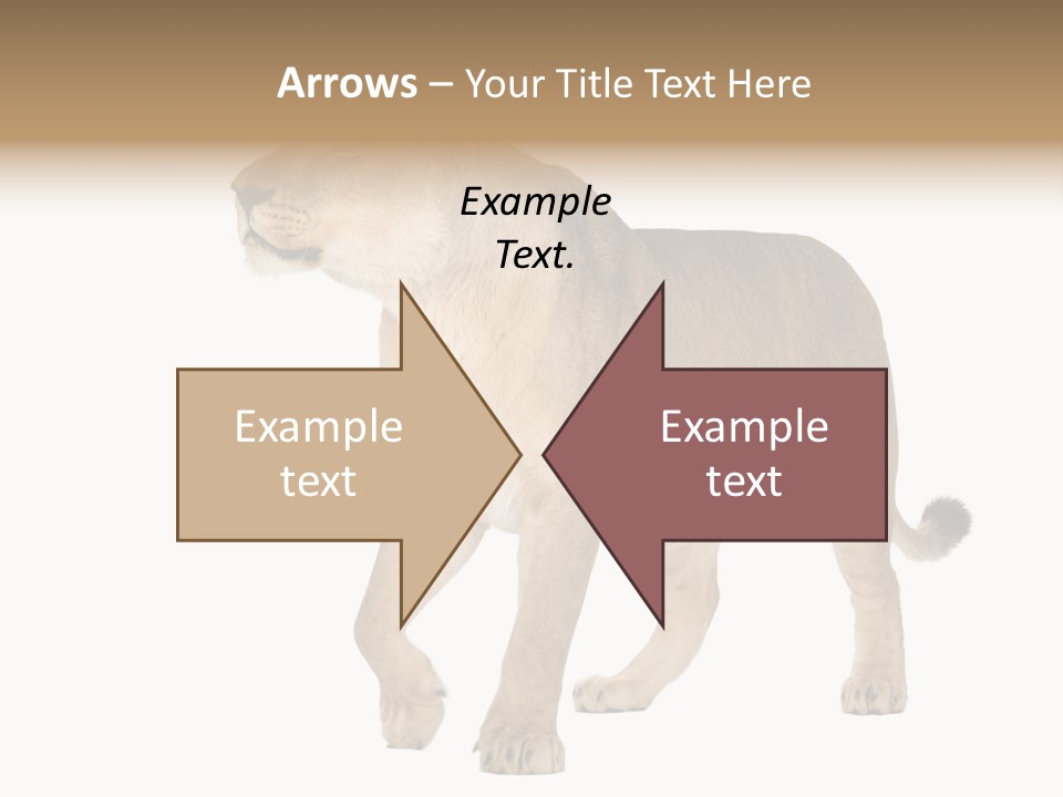 Furry Animal Large PowerPoint Template