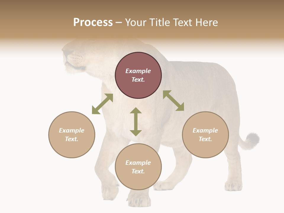 Furry Animal Large PowerPoint Template