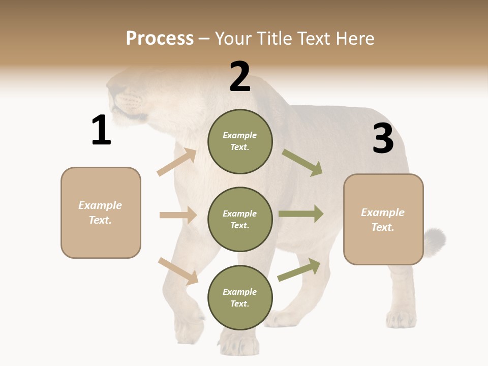 Furry Animal Large PowerPoint Template