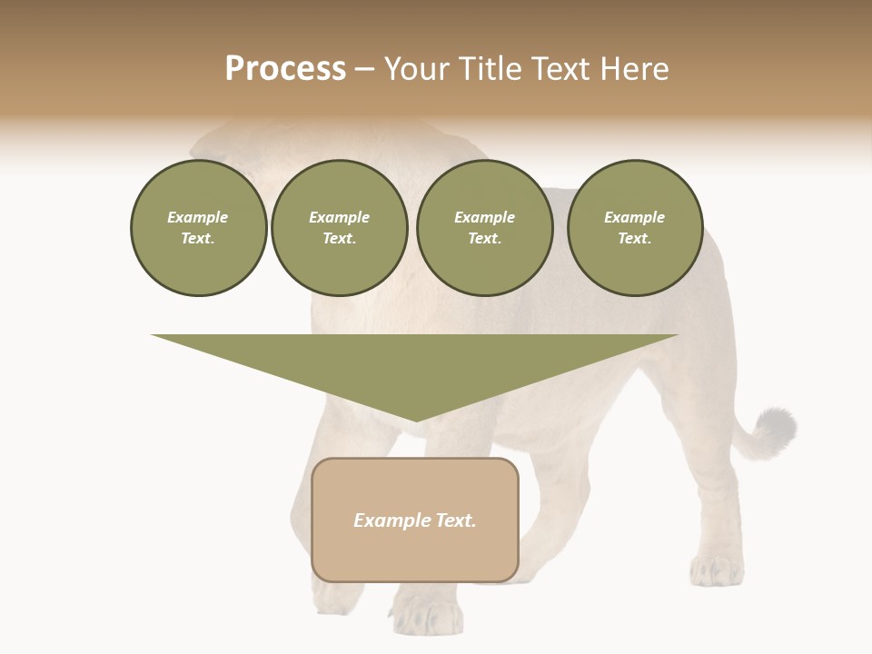 Furry Animal Large PowerPoint Template