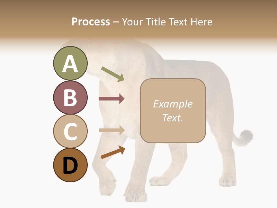 Furry Animal Large PowerPoint Template