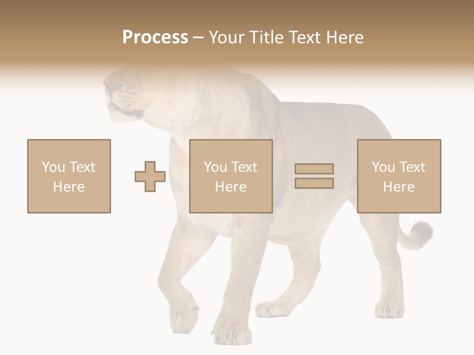 Furry Animal Large PowerPoint Template