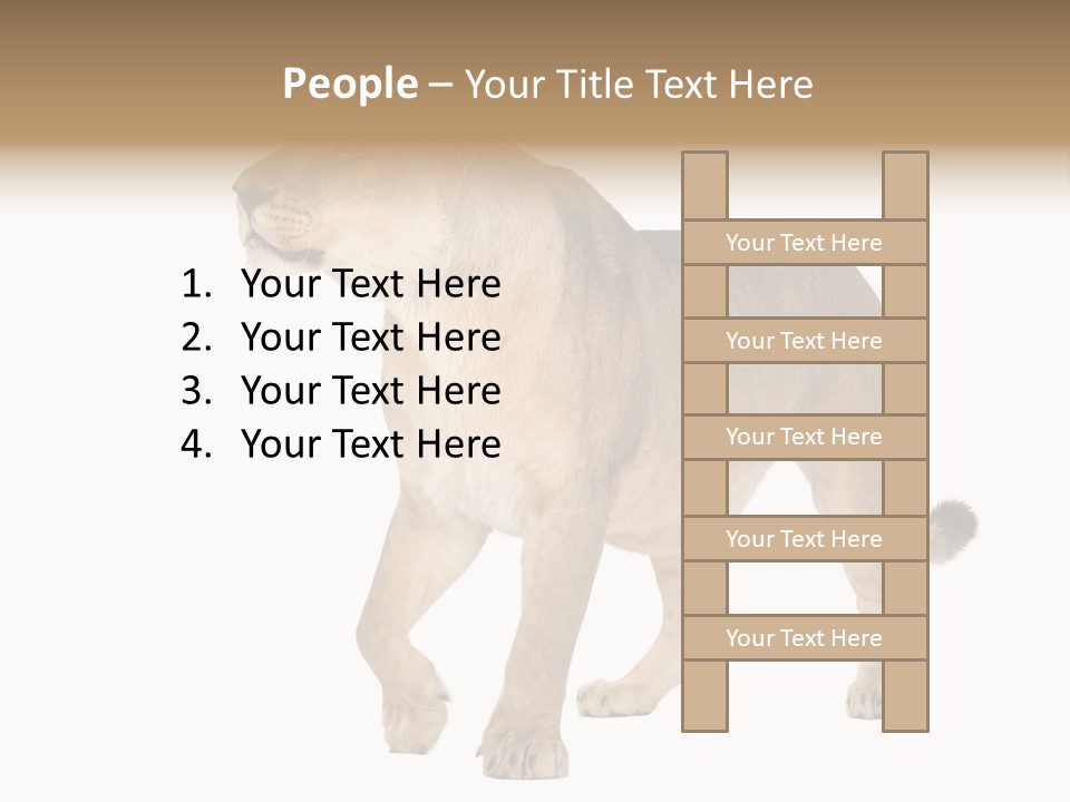 Furry Animal Large PowerPoint Template