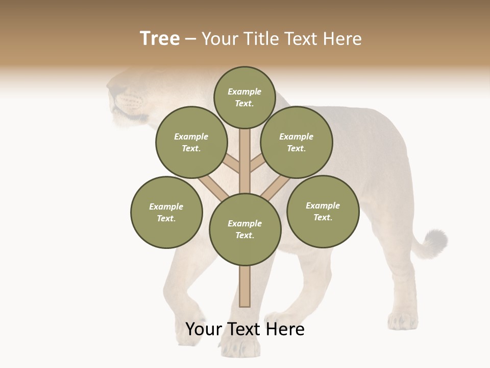 Furry Animal Large PowerPoint Template