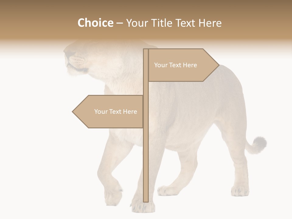 Furry Animal Large PowerPoint Template