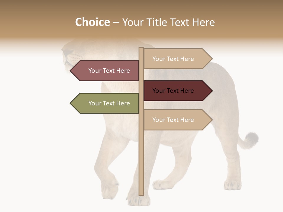 Furry Animal Large PowerPoint Template