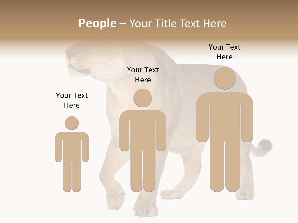 Furry Animal Large PowerPoint Template