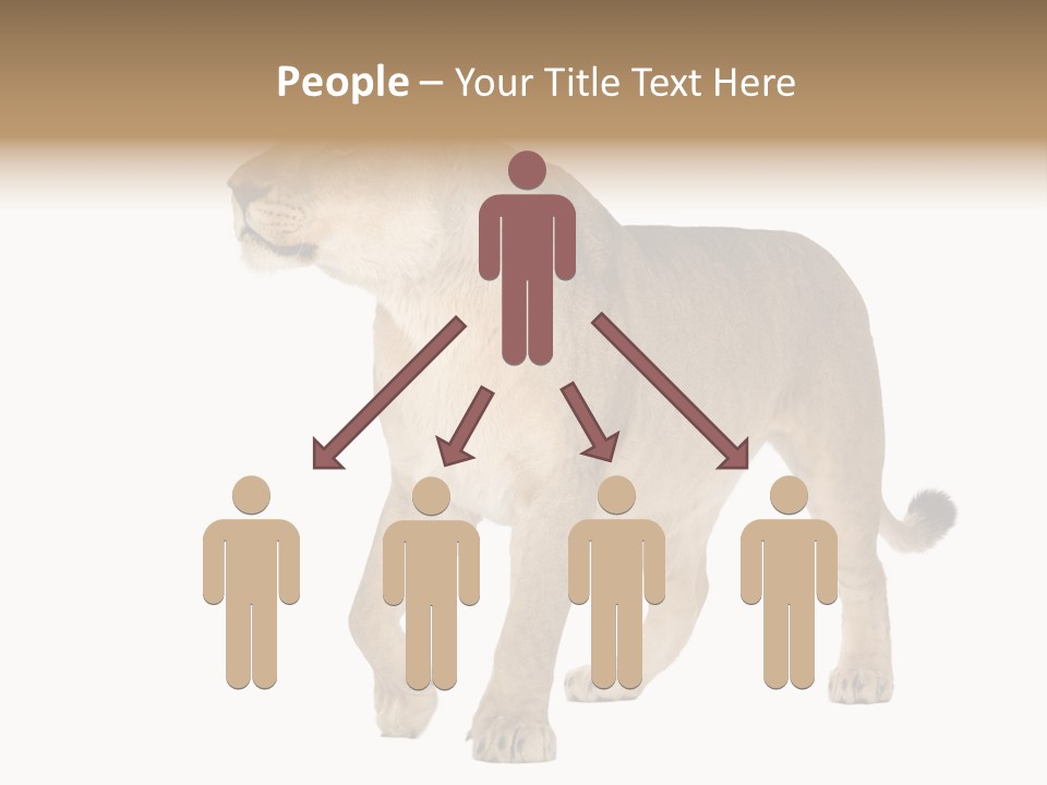 Furry Animal Large PowerPoint Template