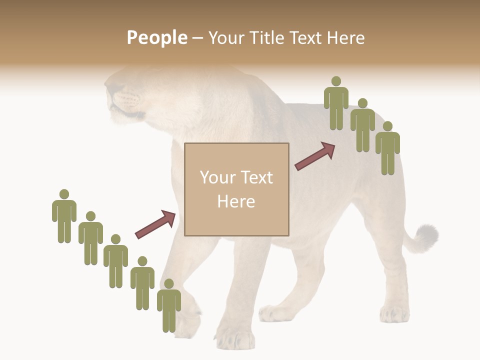 Furry Animal Large PowerPoint Template