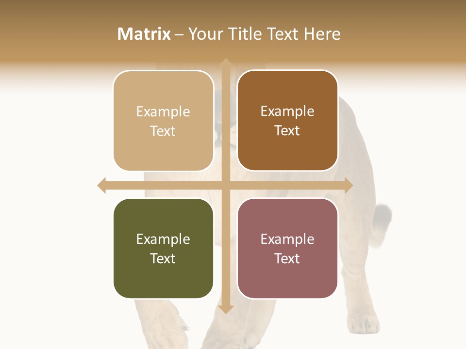 South Africa Creature Animals PowerPoint Template