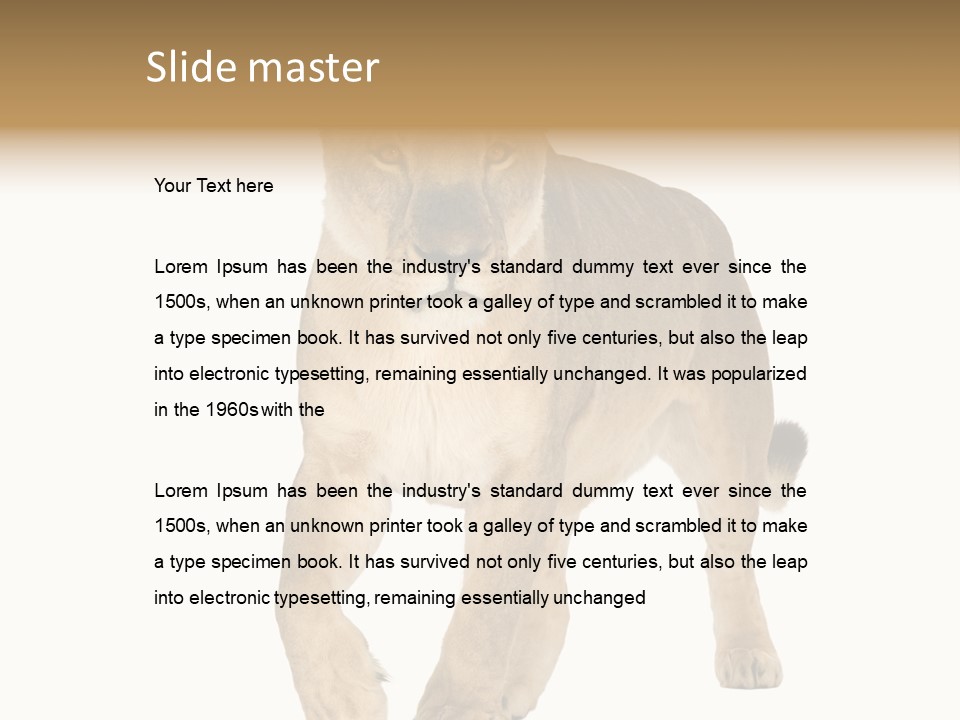 South Africa Creature Animals PowerPoint Template