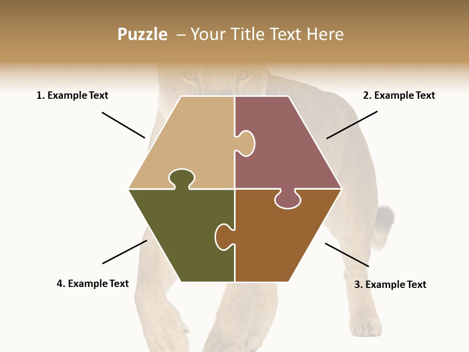 South Africa Creature Animals PowerPoint Template