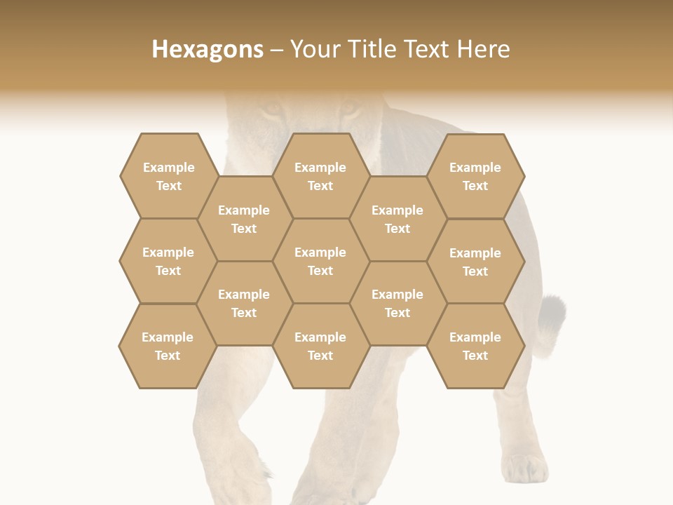 South Africa Creature Animals PowerPoint Template