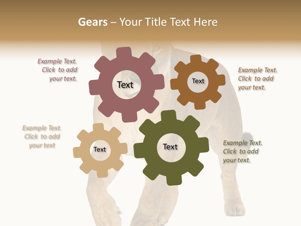 South Africa Creature Animals PowerPoint Template