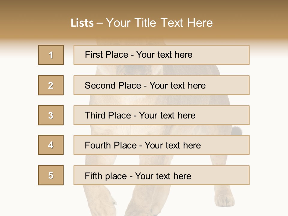 South Africa Creature Animals PowerPoint Template