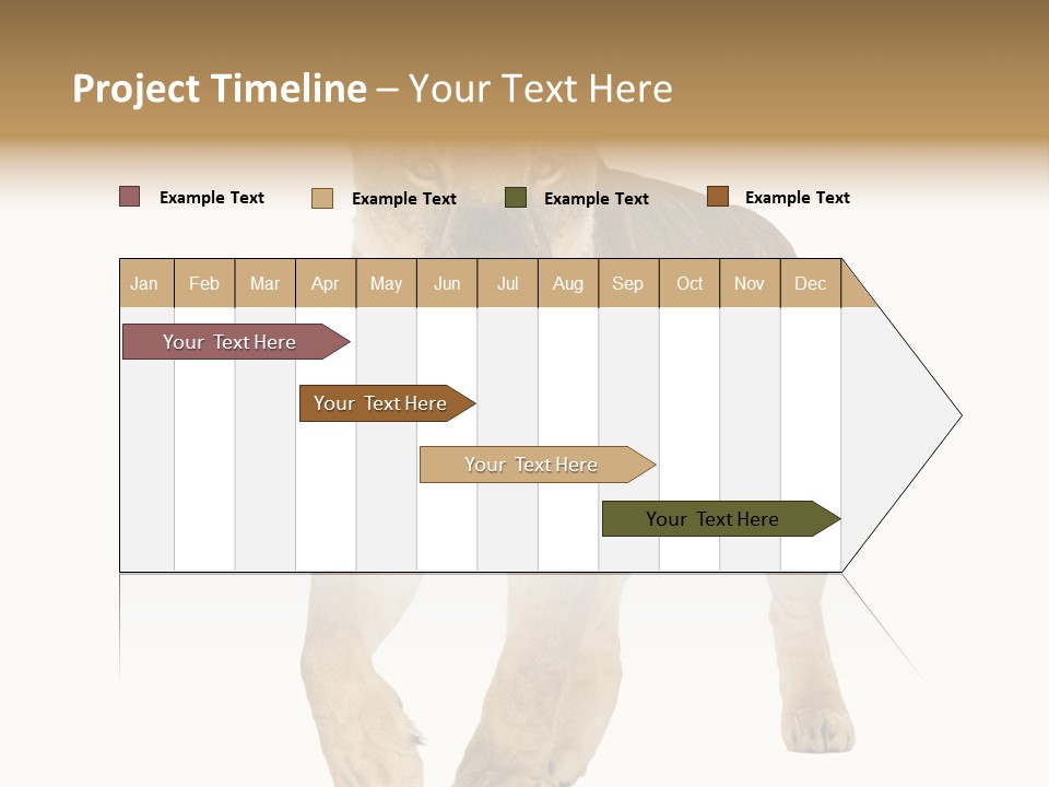 South Africa Creature Animals PowerPoint Template
