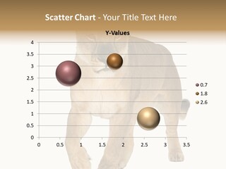 South Africa Creature Animals PowerPoint Template