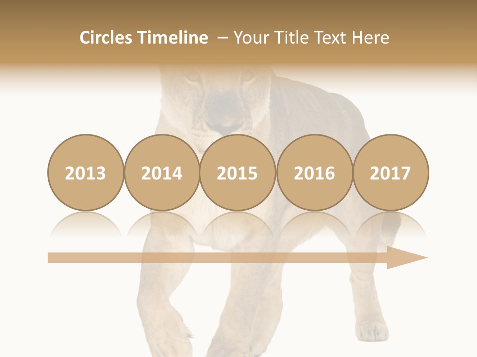 South Africa Creature Animals PowerPoint Template