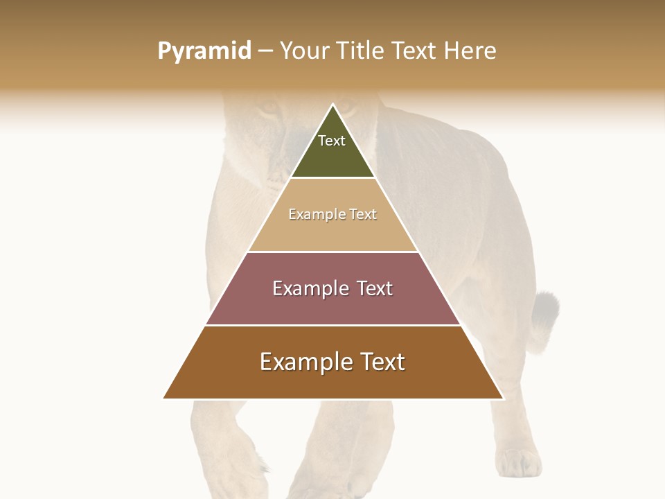 South Africa Creature Animals PowerPoint Template