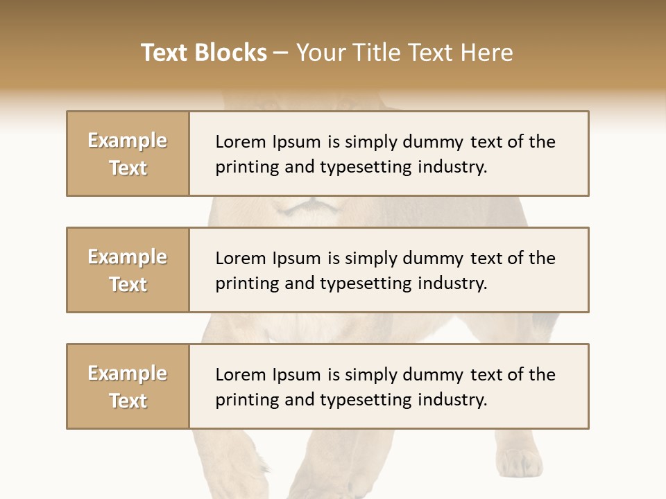 South Africa Creature Animals PowerPoint Template