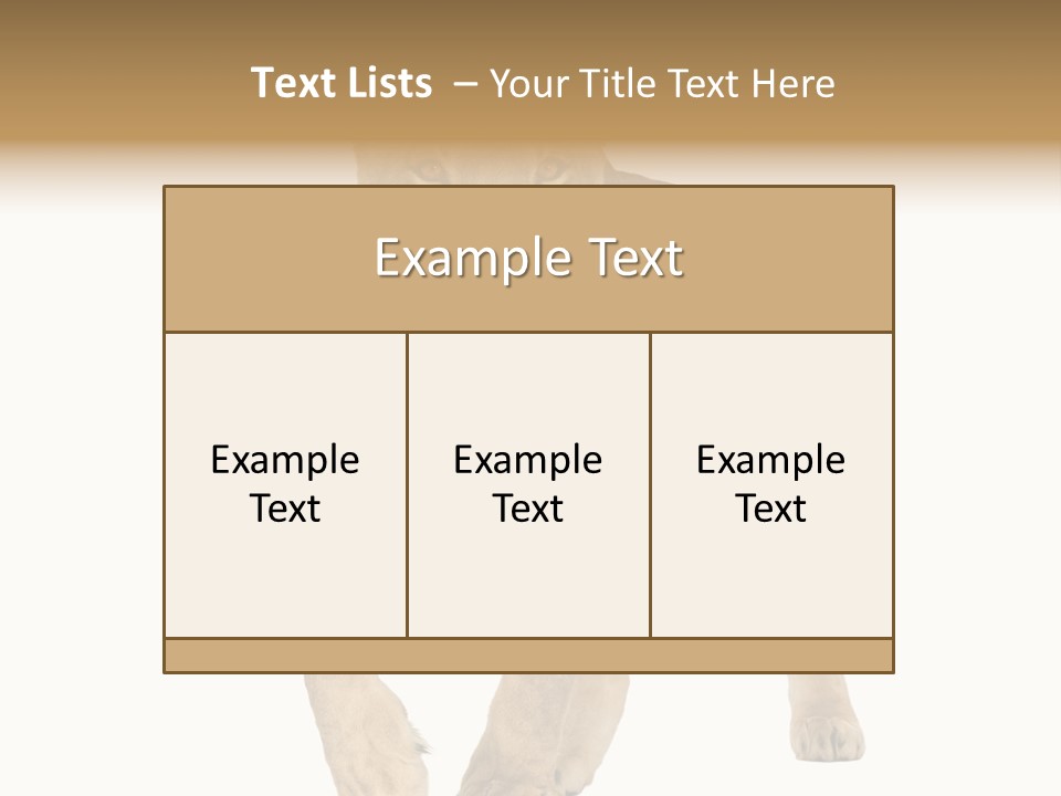 South Africa Creature Animals PowerPoint Template