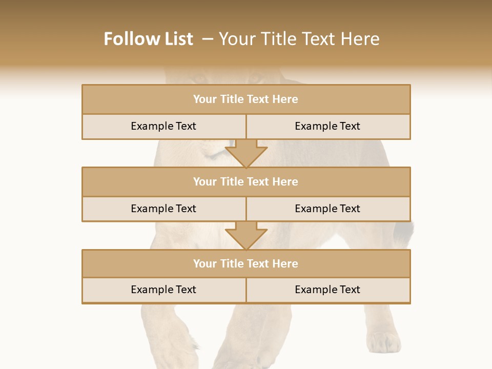 South Africa Creature Animals PowerPoint Template