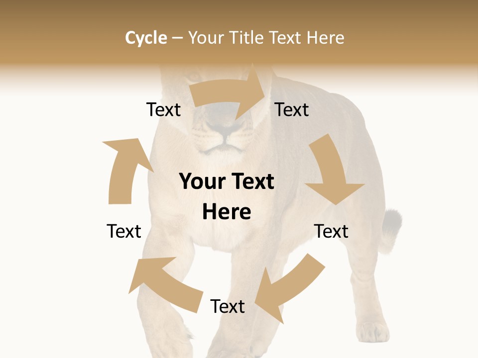 South Africa Creature Animals PowerPoint Template