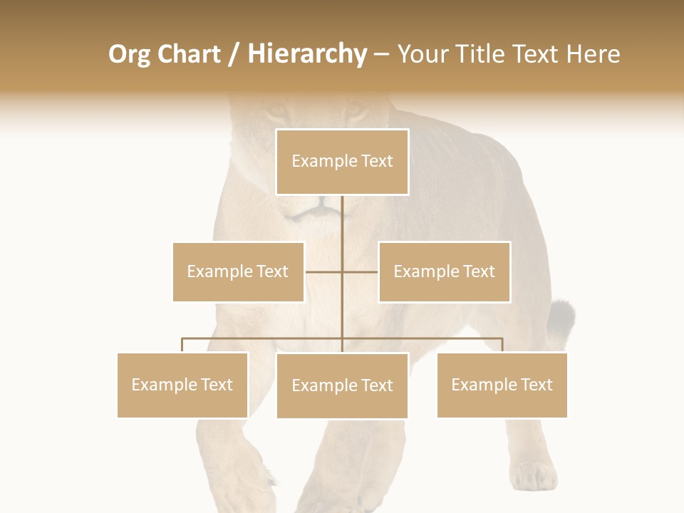 South Africa Creature Animals PowerPoint Template