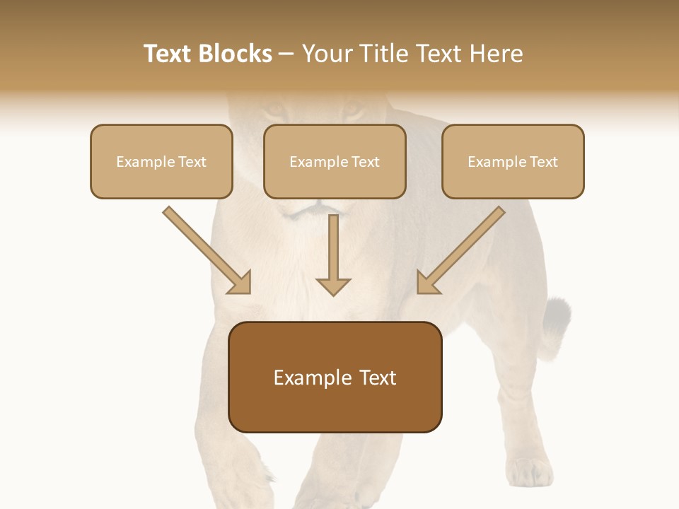 South Africa Creature Animals PowerPoint Template