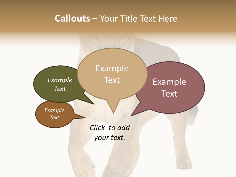 South Africa Creature Animals PowerPoint Template