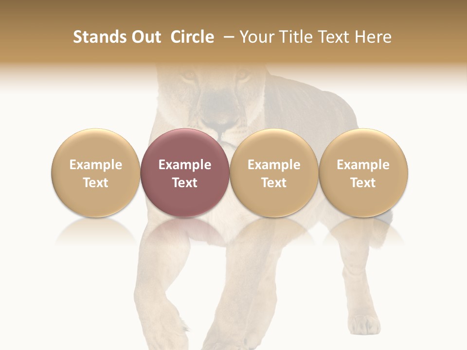 South Africa Creature Animals PowerPoint Template