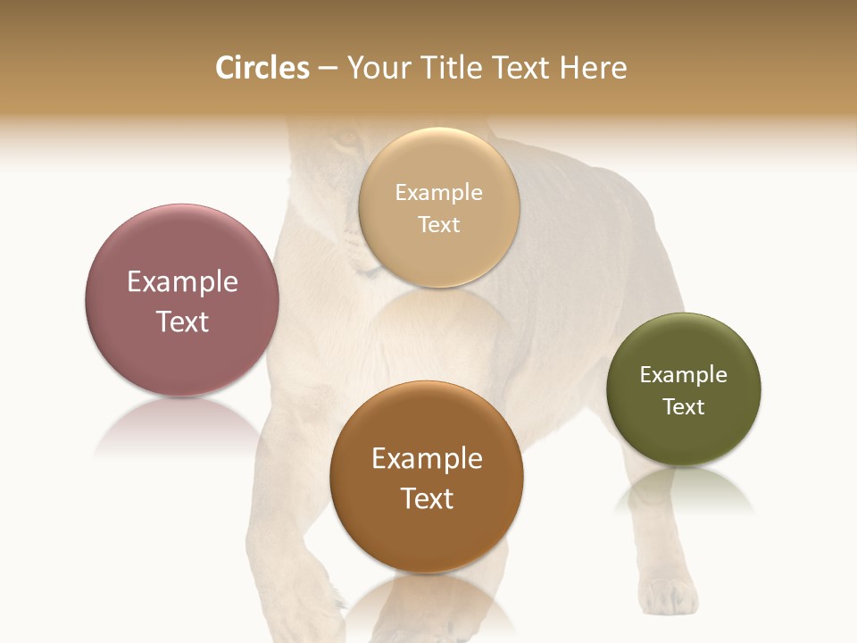 South Africa Creature Animals PowerPoint Template