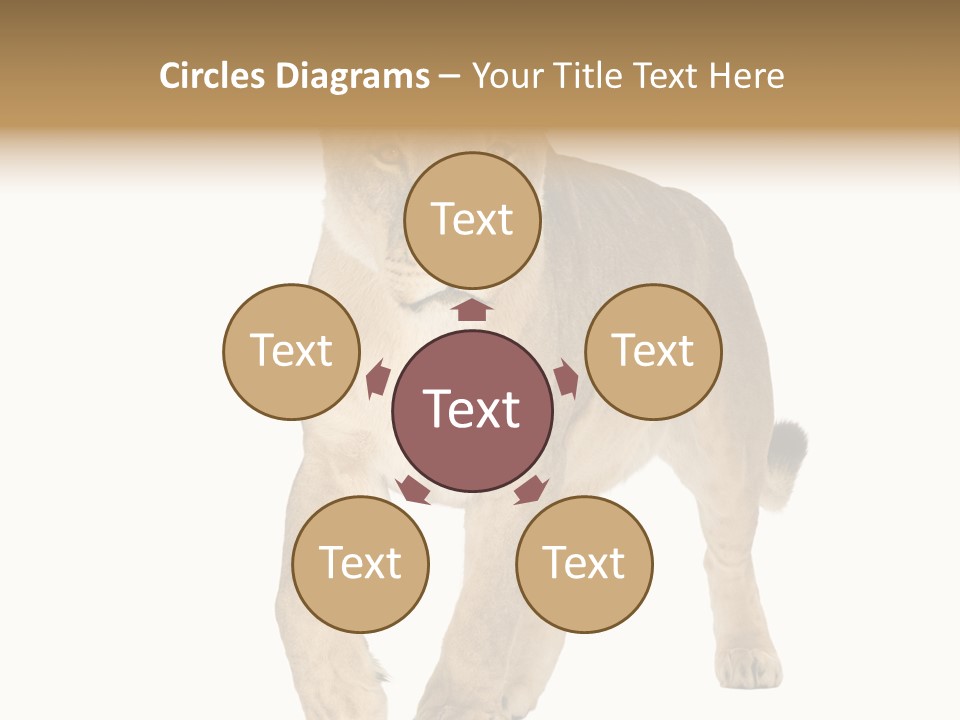 South Africa Creature Animals PowerPoint Template